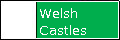 Welsh Castles
